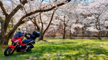【2023年お薦め】草木湖の桜の見所一覧～草木湖一周ツーリング