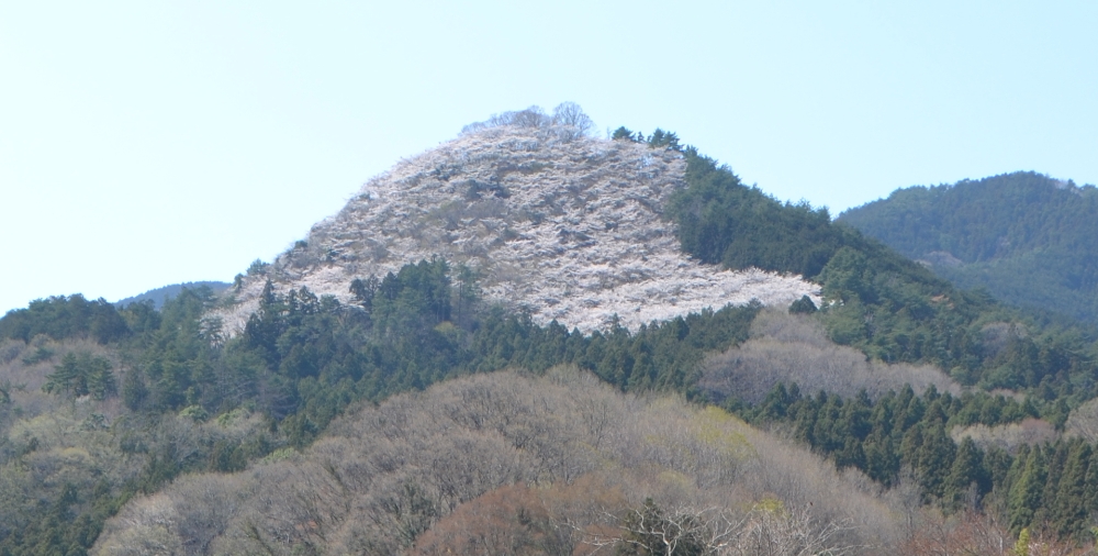 柄杓山